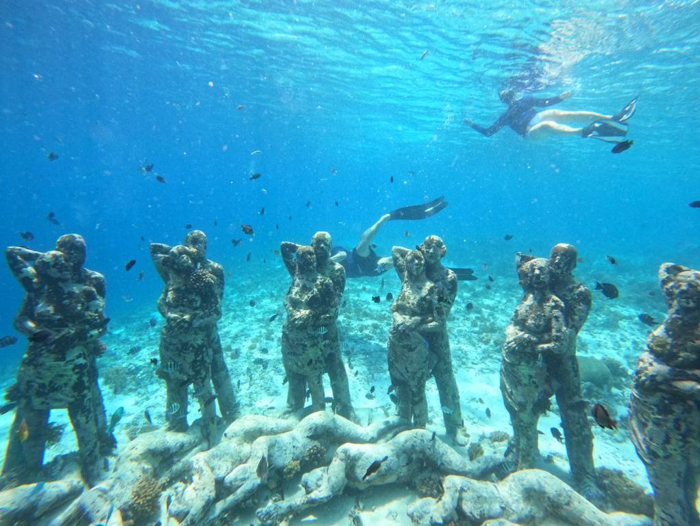 private snorkelling tour